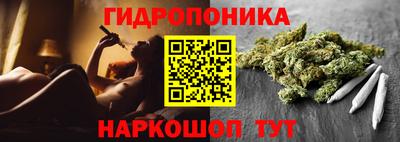 кокс Гусев