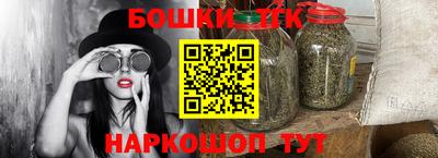 индика Беслан