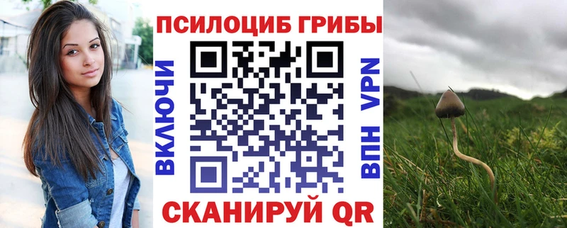 продажа наркотиков  Елизово  Галлюциногенные грибы Cubensis 