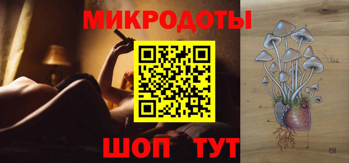 Галлюциногенные грибы мицелий  наркотики  Елизово 