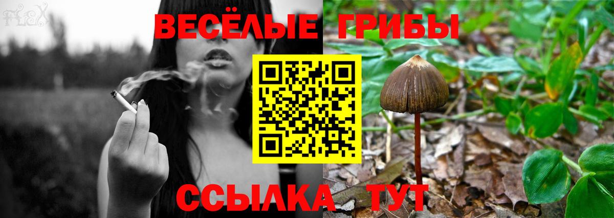 Галлюциногенные грибы прущие грибы  Вход с VPN  Псилоцибиновые грибы Psilocybine cubensis  Елизово 