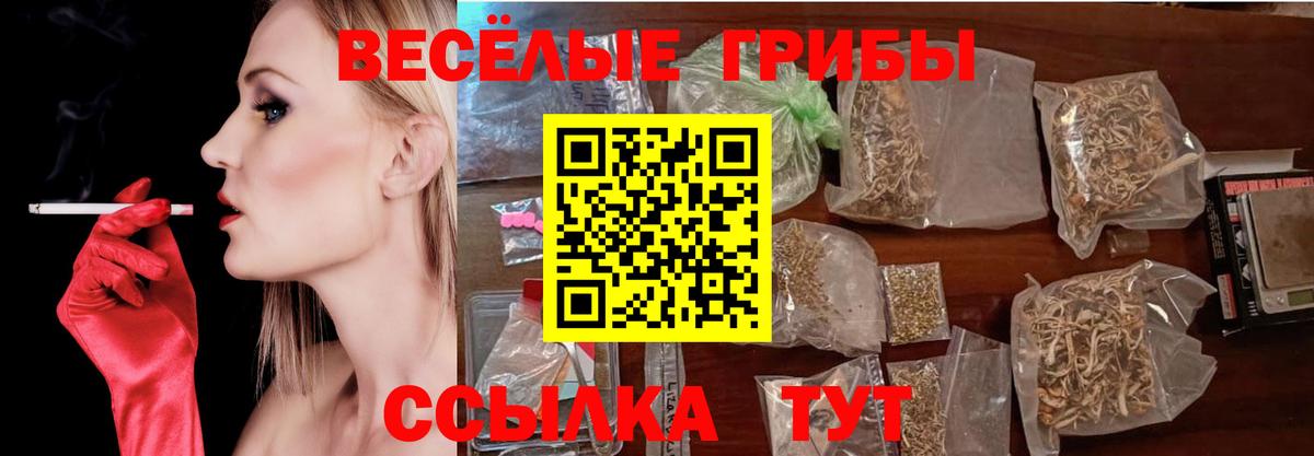 Галлюциногенные грибы Psilocybe Елизово