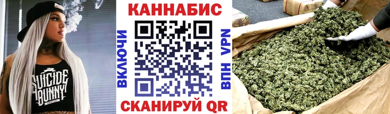 где найти   Елизово  Каннабис White Widow 
