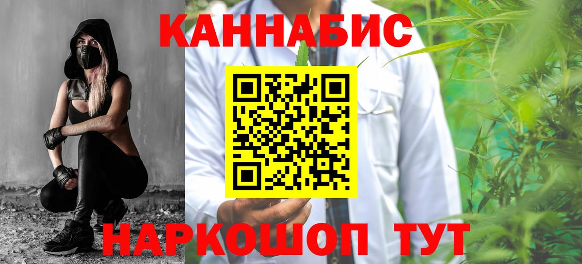 Каннабис сатива Елизово
